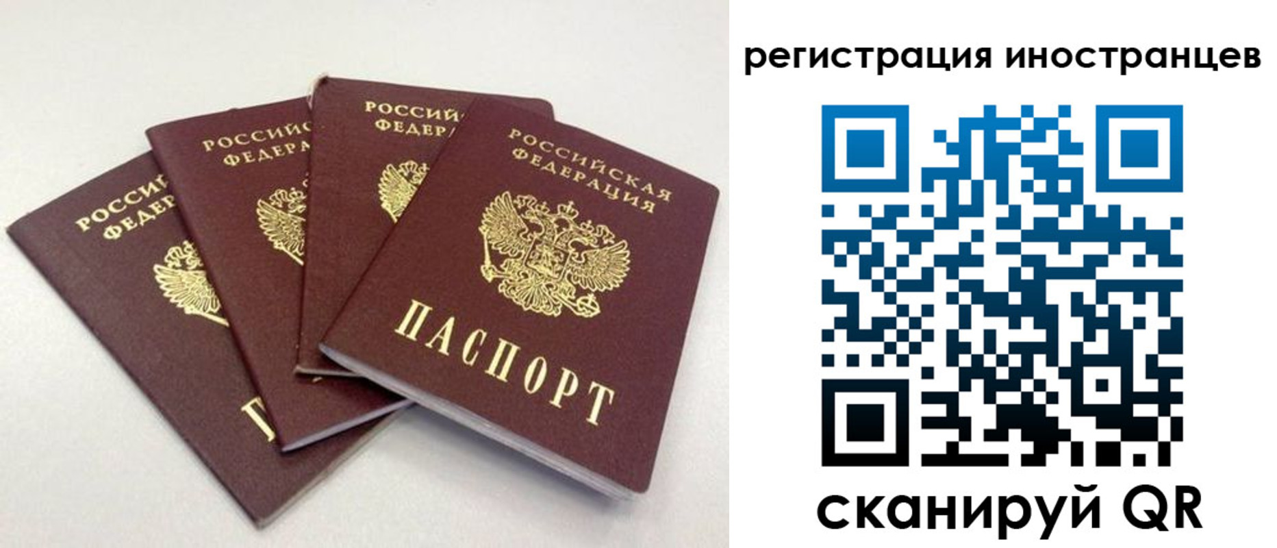 временная регистрация для школы в Златоусте